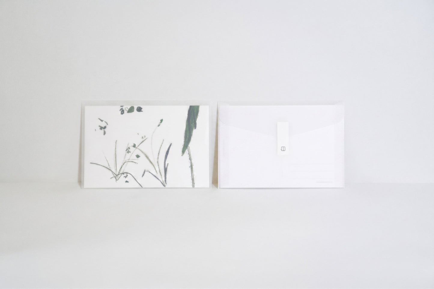Foliage Illustration Postcard