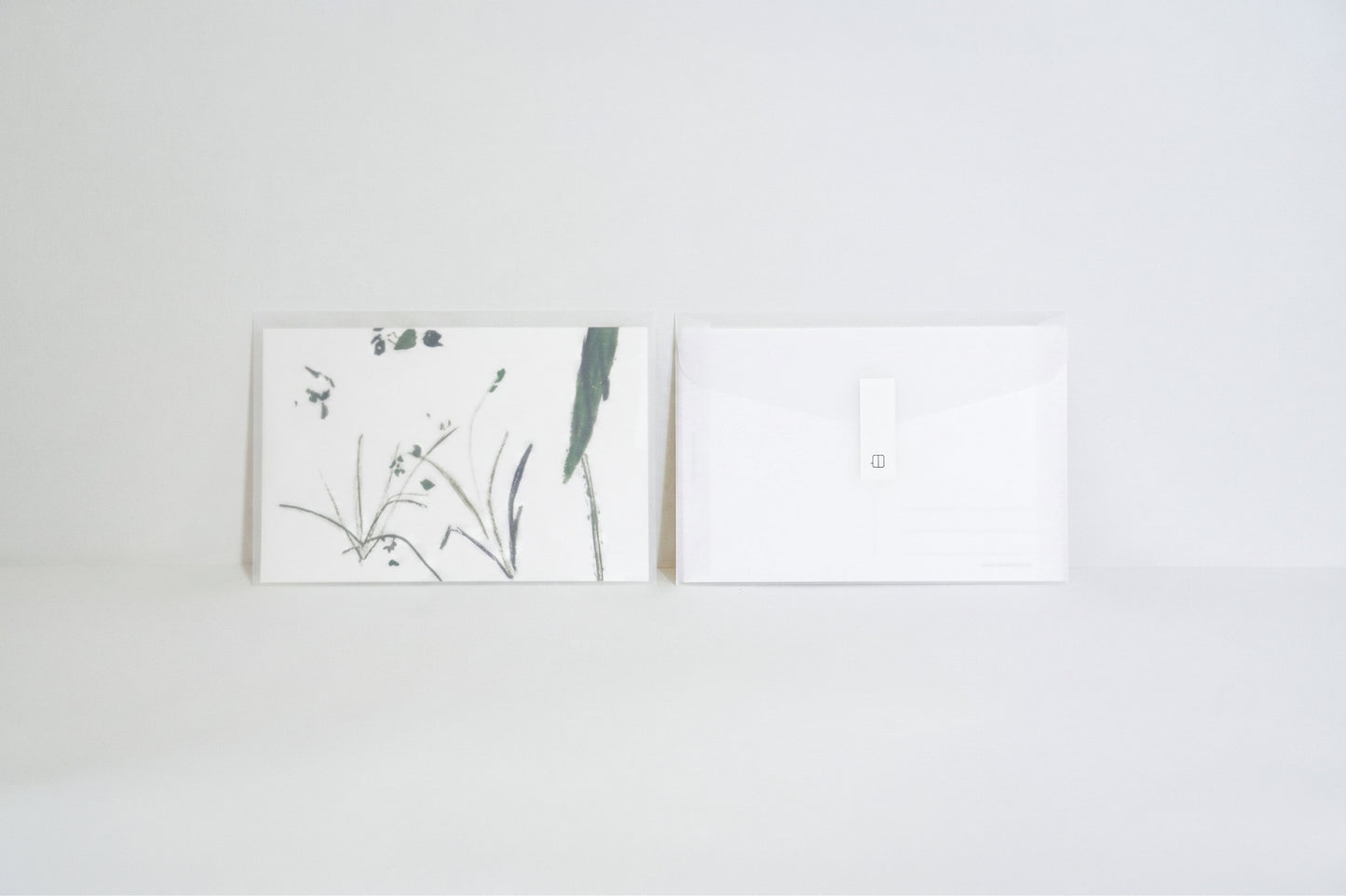 Foliage Illustration Postcard