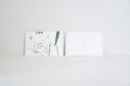Foliage Illustration Postcard