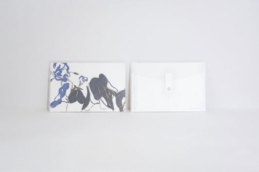 Morning Glory Illustration Postcard
