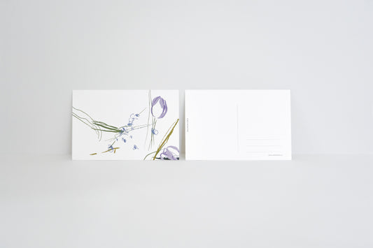 Assorted postcard bundle (3pcs) Tulip | Lotus | Morning Glory