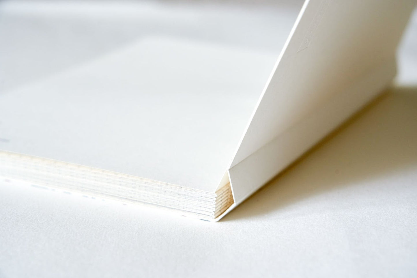 Morning Glory Notebook