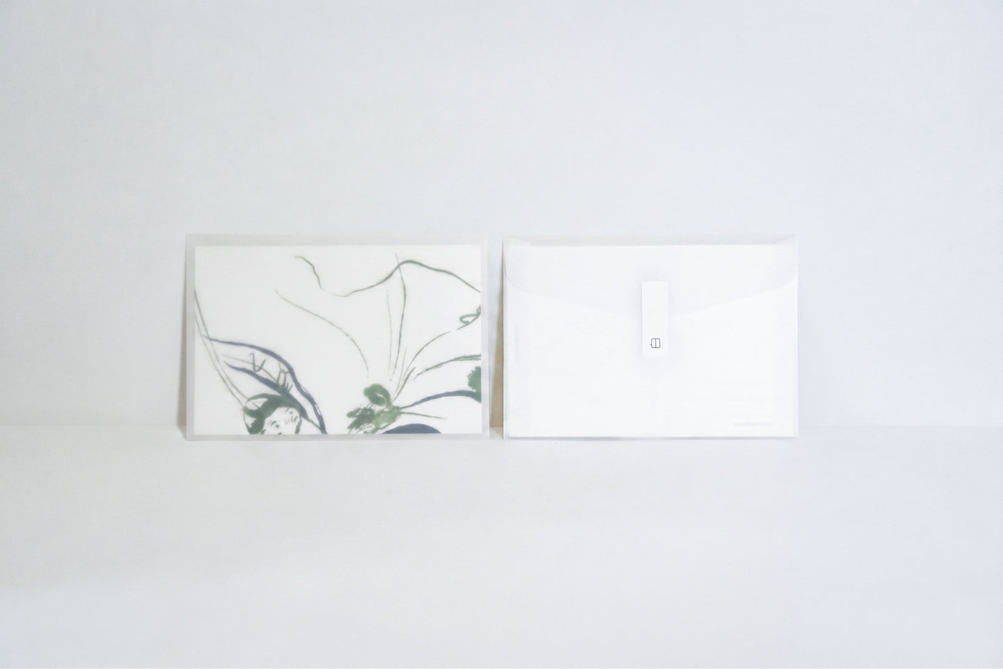 Lotus Leaf Illustration Postcard