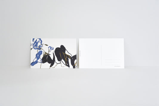 Morning Glory Illustration Postcard
